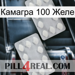 Камагра 100 Желе 17